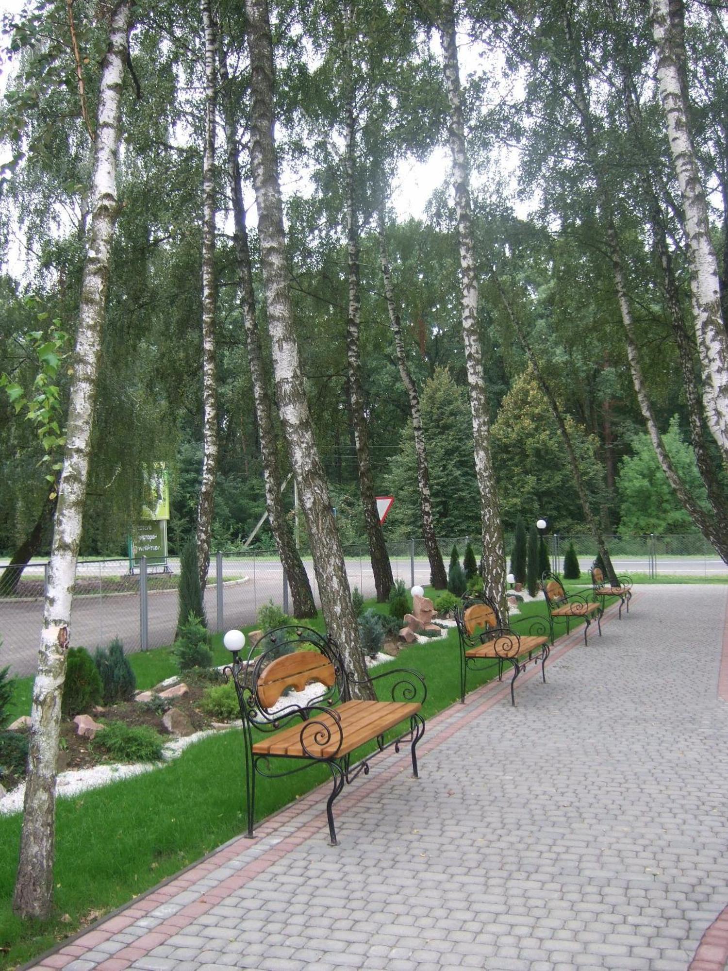Hotel Complex Zelenyi Gai Kopachuvka Exterior foto